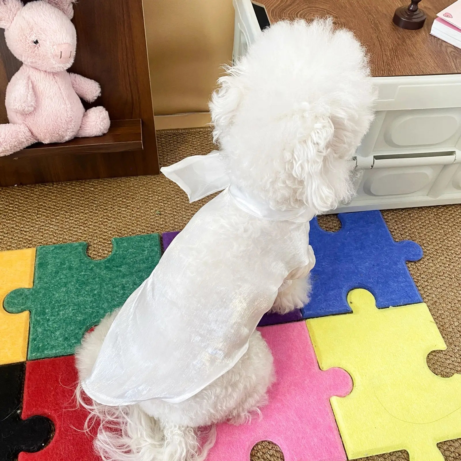White Moonlight Embossed Lined Shirt Skirt Pet Dog Cat Clothes Schnauzer Dog Xishi Dog Teddy Dogs Clothes