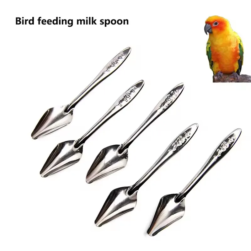 Parrot Feeder Bird Feeding Spoon Hand-raised Chicks And Young Birds Water And Milk Feeding Spoon Parrot Feeding Tool