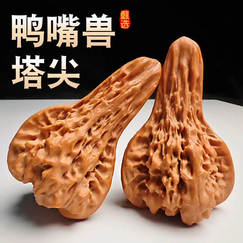 Naturalunpolished duck-billed walnuts with unique patterns a pointed irregular shape – perfect for collecting and appreci