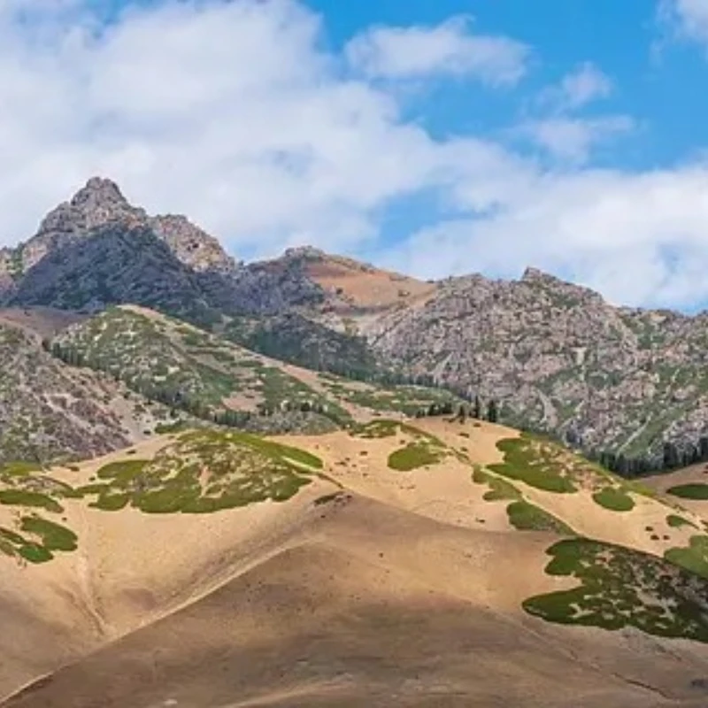 

IFlight XING 1303 5000KV 2-4S FPV Микрощеточный двигатель с валом 1,5 мм, совместимым с 2-дюймовым пропеллером для FPV Whoop Drone Part