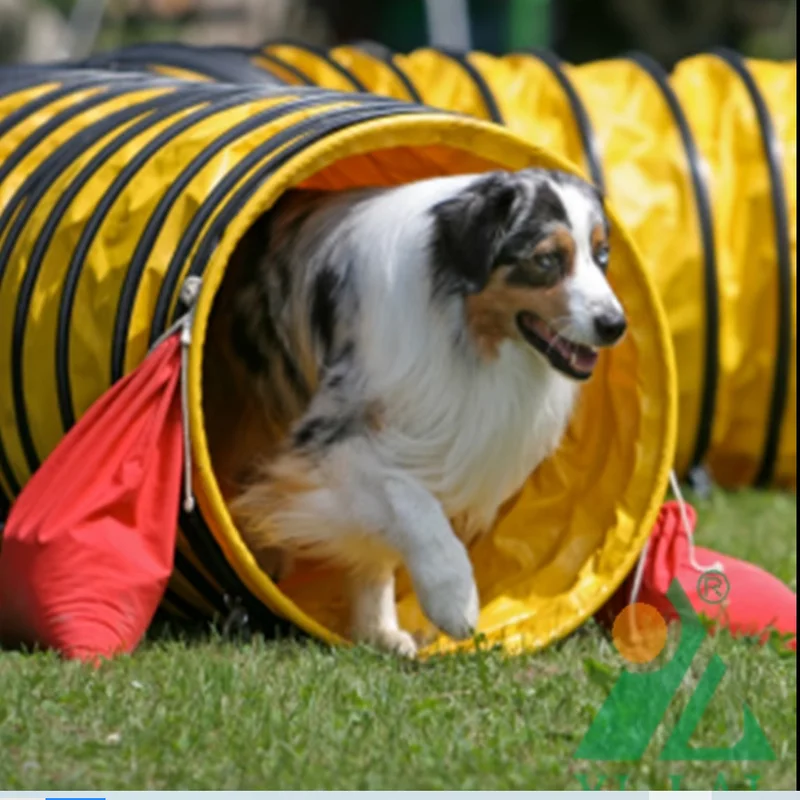 24\'\' Dia15ft Long PVC Dog Agility Tunnel Outdoor Open End Dog Agility Competition Training Tunnel