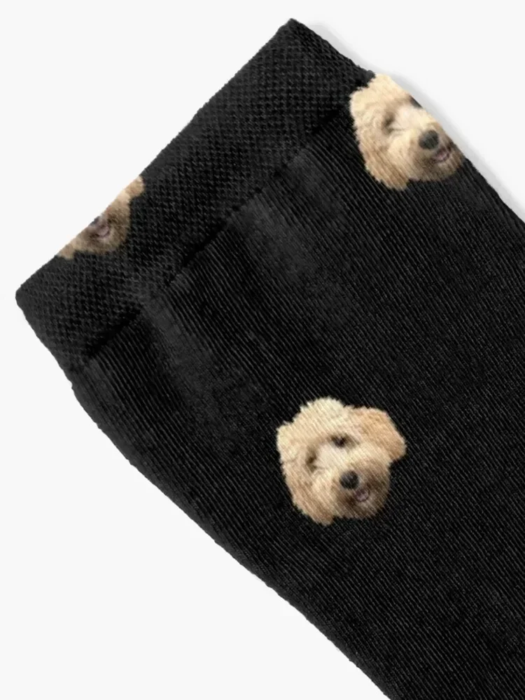 Rosie the Goldendoodle Black Socks kawaii summer Novelties anti slip football Luxury Woman Socks Men's