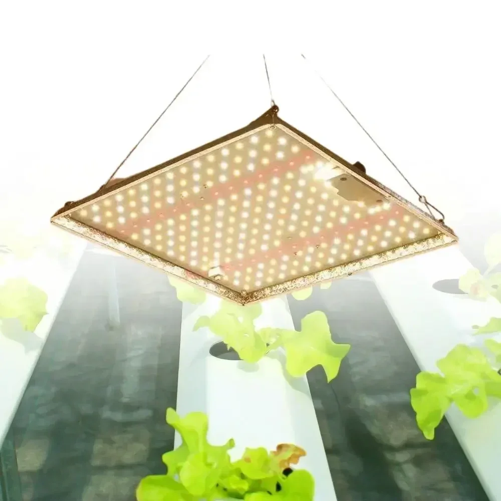 Commercial led grow light Horticulture Cultivation 1000W IP45 Greenhouse hydroponic grow light uv ir