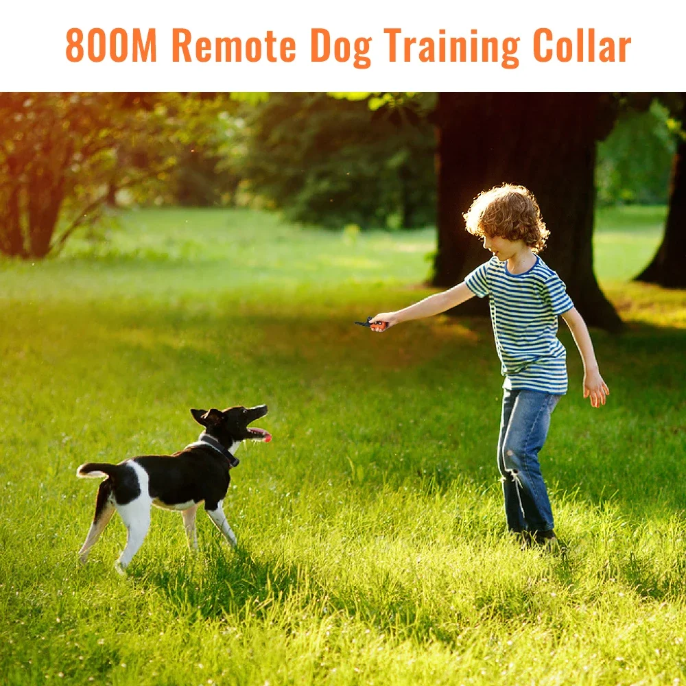 Waterproof Dog Training Collar Vibration/Static Shock/Tone Training Stimulations for All Dogs