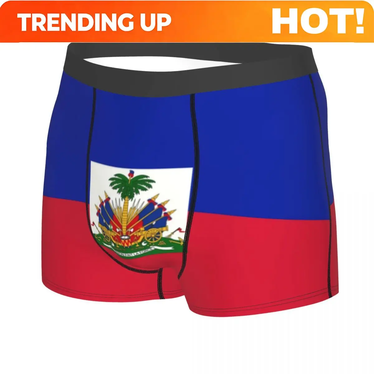 Custom Flag Of Haiti Underwear Men Breathbale Boxer Briefs Shorts Panties Soft Underpants For Homme