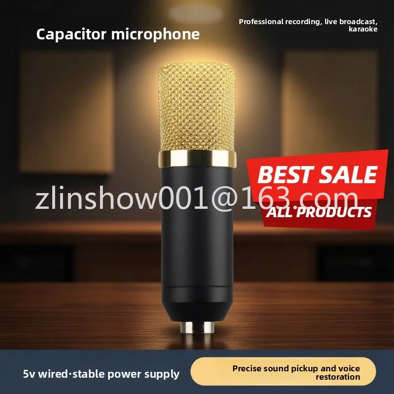 Condenser microphone Professional 5V desktop computer singing 48V sound card special wired microphone for live recording