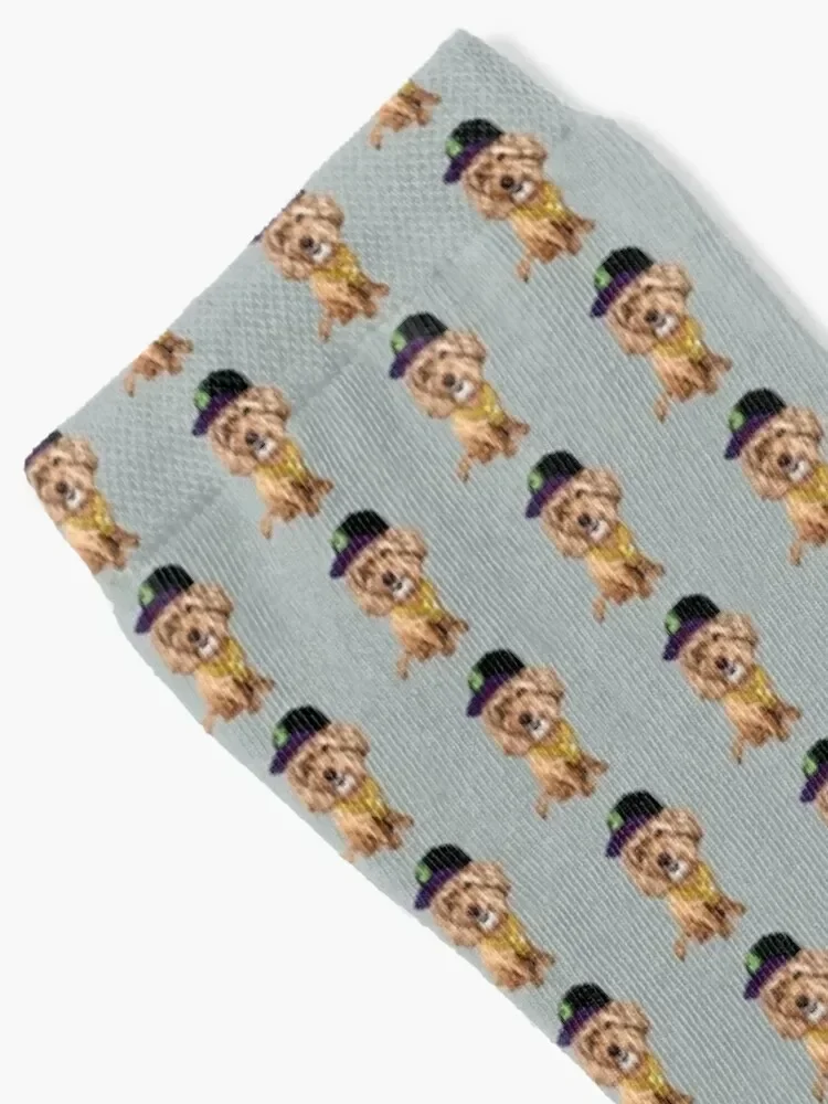 Gangsta Cavapoo Socks cartoon kawaii Girl'S Socks Men's