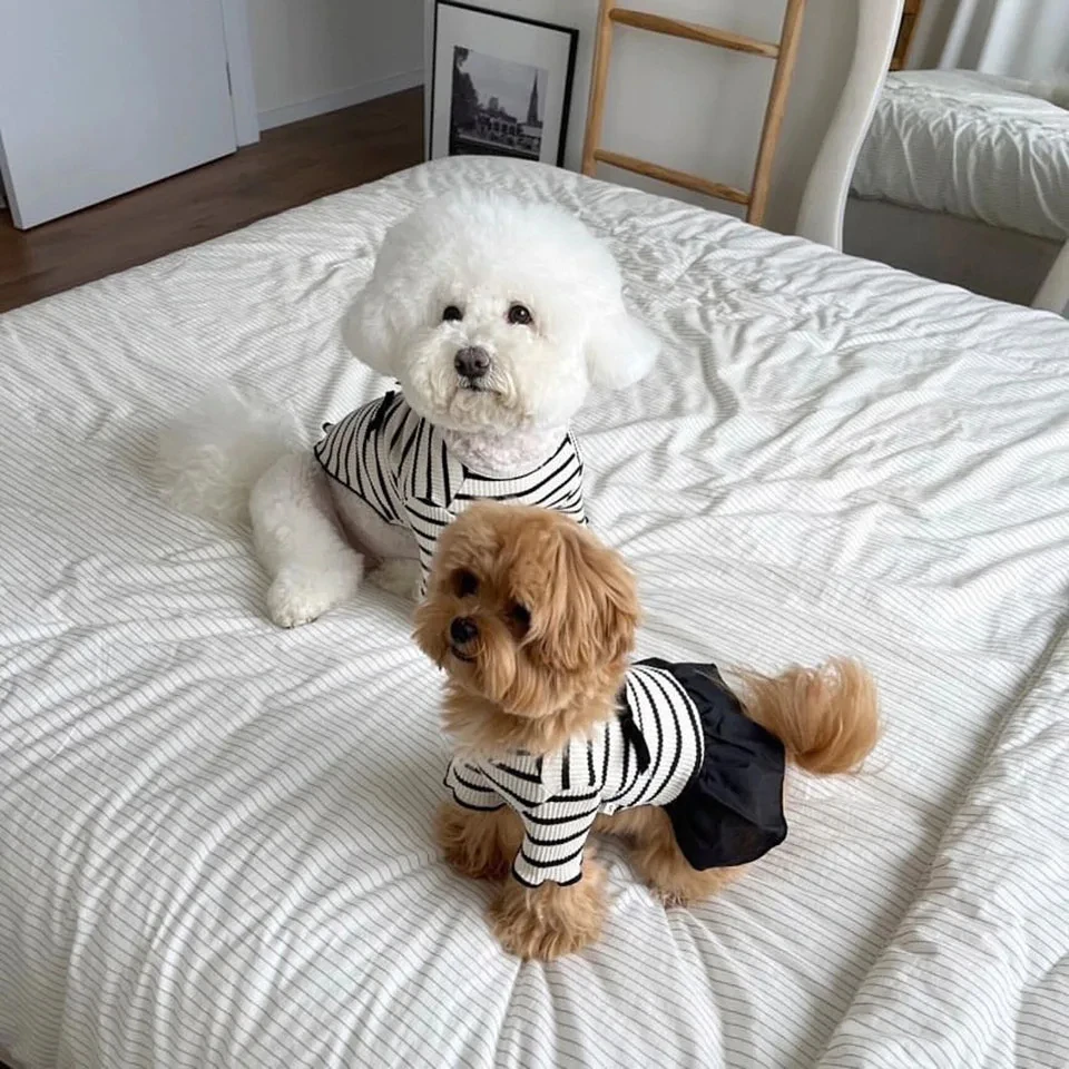 Robe d'été pour chien à rayures avec nœud et manches évasées_voghion.com