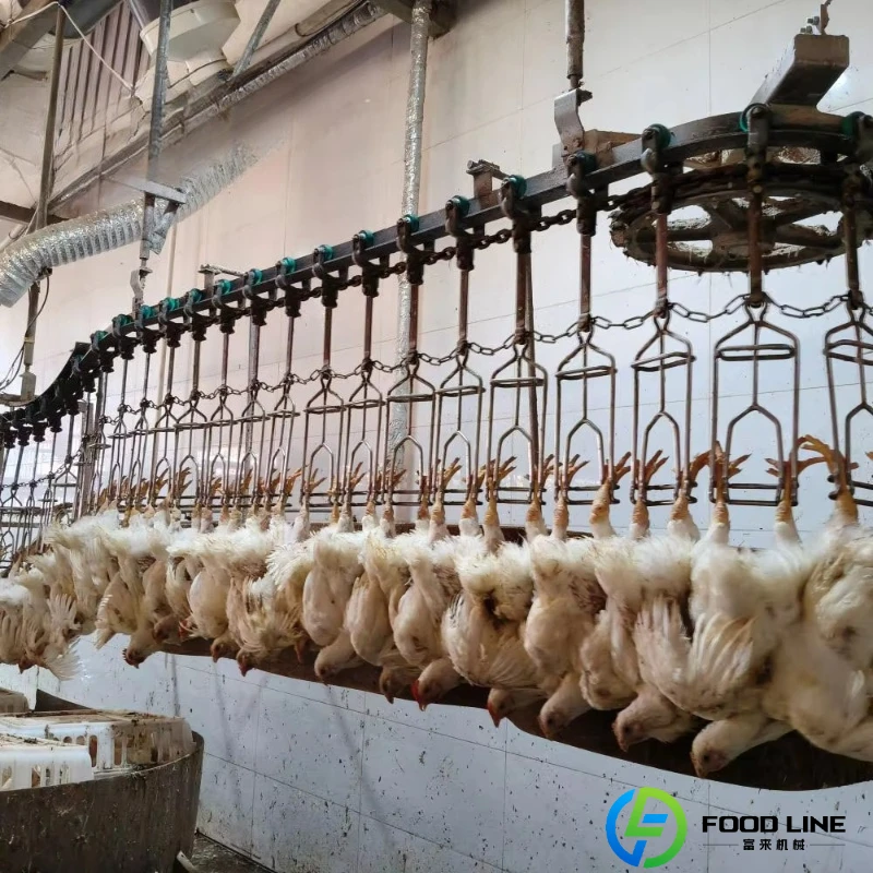 Customized Poultry Slaughter Line With Feet Cutting Machine Automatic Poultry Claw Cutting Equipment For Processing Line