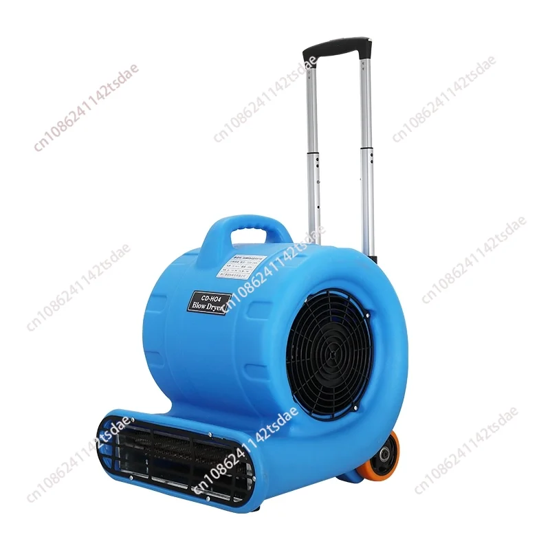

220V 300w home use floor and carpet blower dryer air mov er fan with timing