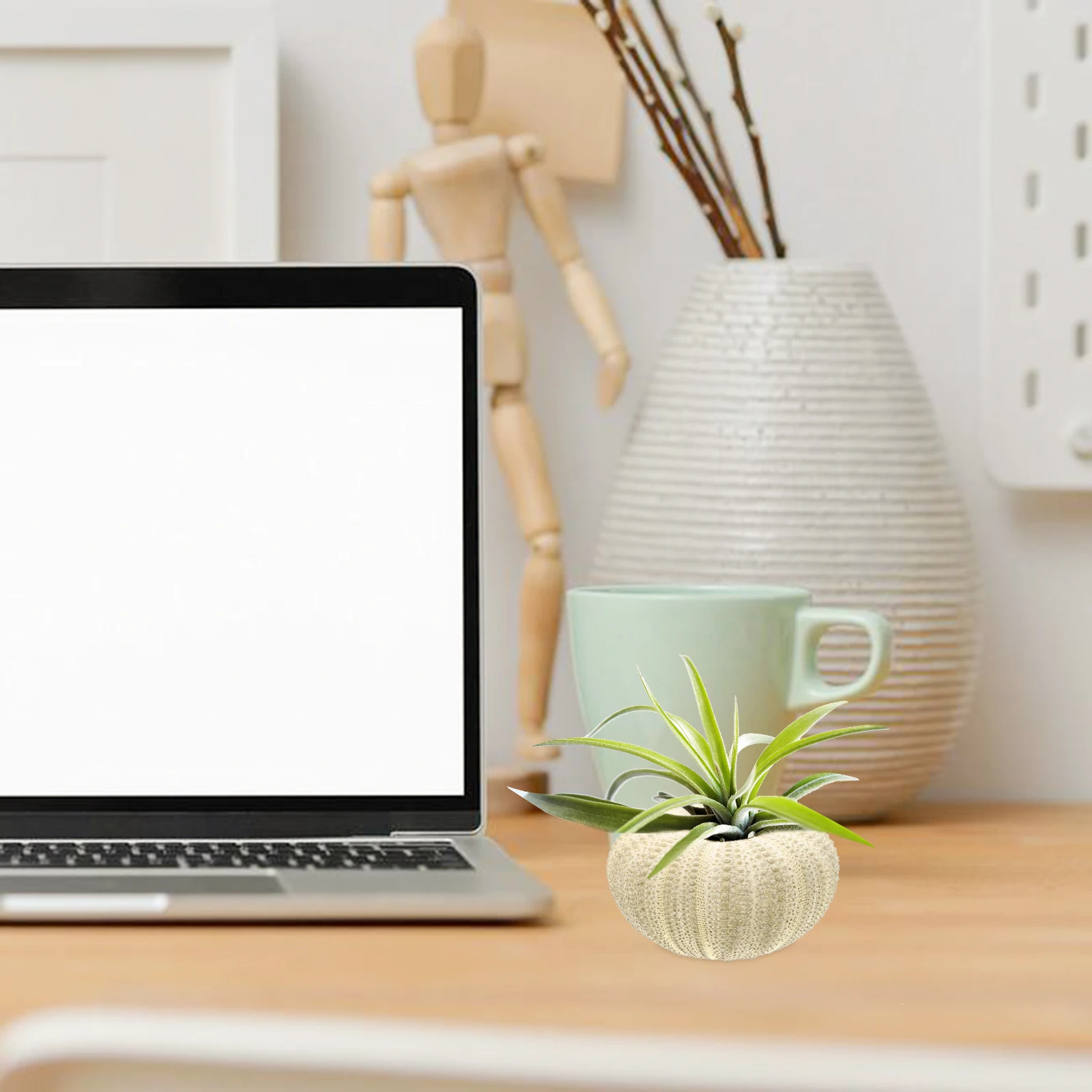 

6Pcs Sea Urchin Shell Planters Natural Air Plant Pots for Home Decor Tabletop Garden DIY Craft Supplies Aquarium Landscape