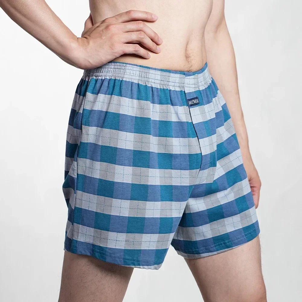 2024 Men\'s 100% Cotton Boxer Shorts Foreskin Underwear High Waist Big Underpants Casual Plaid Plus Size Aro Alo Allo Pants M-3XL