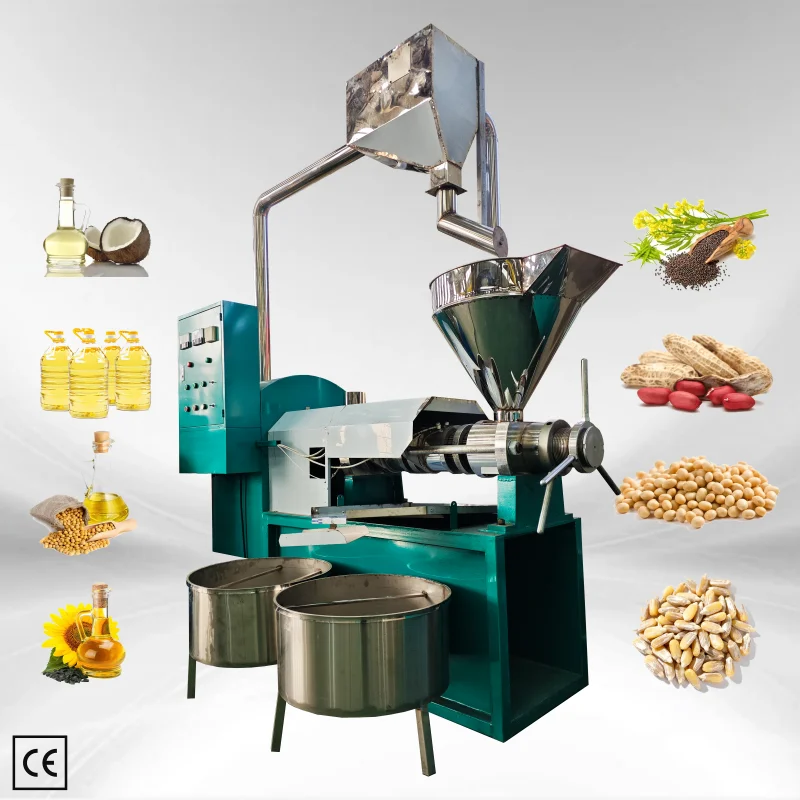 Hot Oil Press Machine Electric Spiral 300kg/h Temp Control High Output for Soybean Coconut Groundnut Custom Color