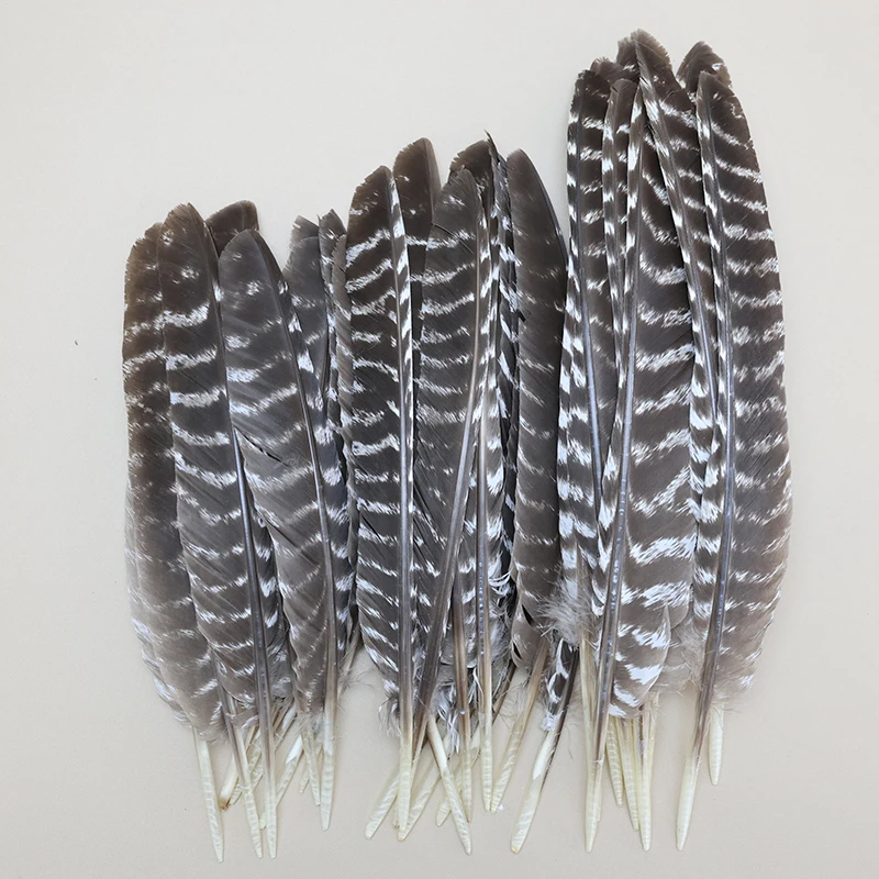 5Pcs/Lot Real Natural Turkey Feathers for Jewelry Making Pheasant Crafts DIY Carnival Accessories Artificial Decoration Plume