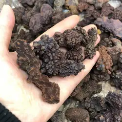 1kg COPROLITE Fossilized Dinosaur Poop Specimen Fossil Madagascar