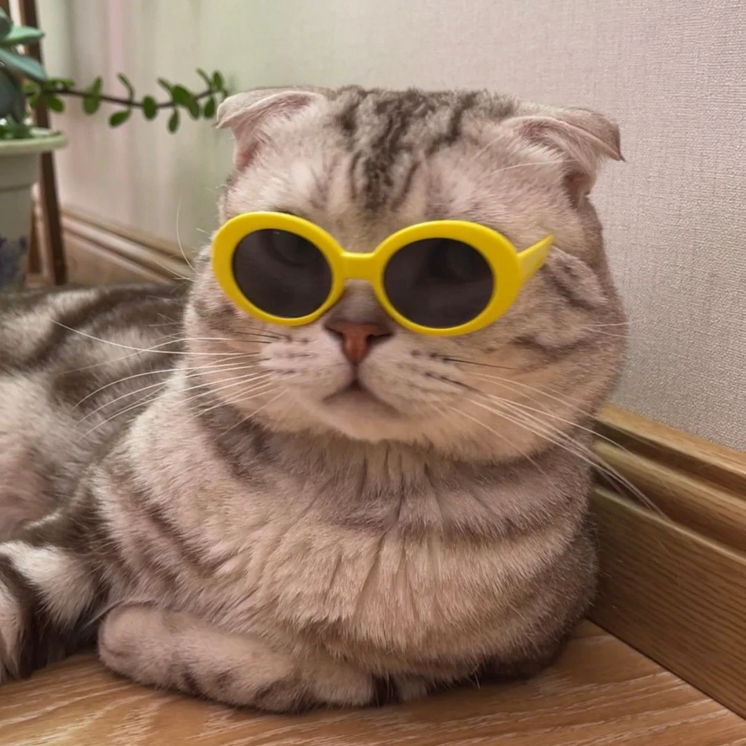 

1Set Complete Flywheel Clutch bell 16T & Shoes Spring Ball Bearings 5x10x4 mm Nitro Engine Parts For HSP 1/10 Buggy Truck Truggy