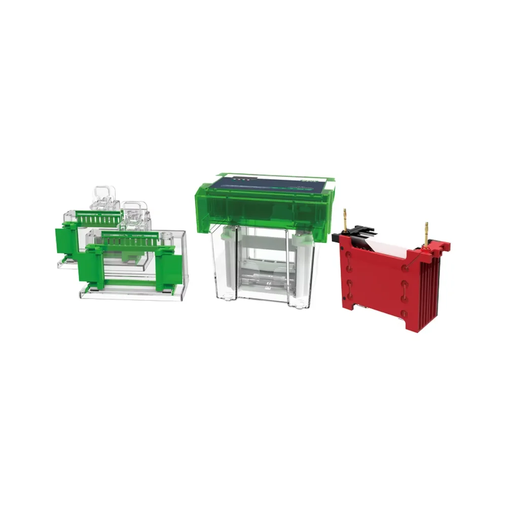 

Customizable OEM Laboratory Gel Western Blot GEL Electrophoresis Tank EC-WBG01 for Protein Analysis in Labs