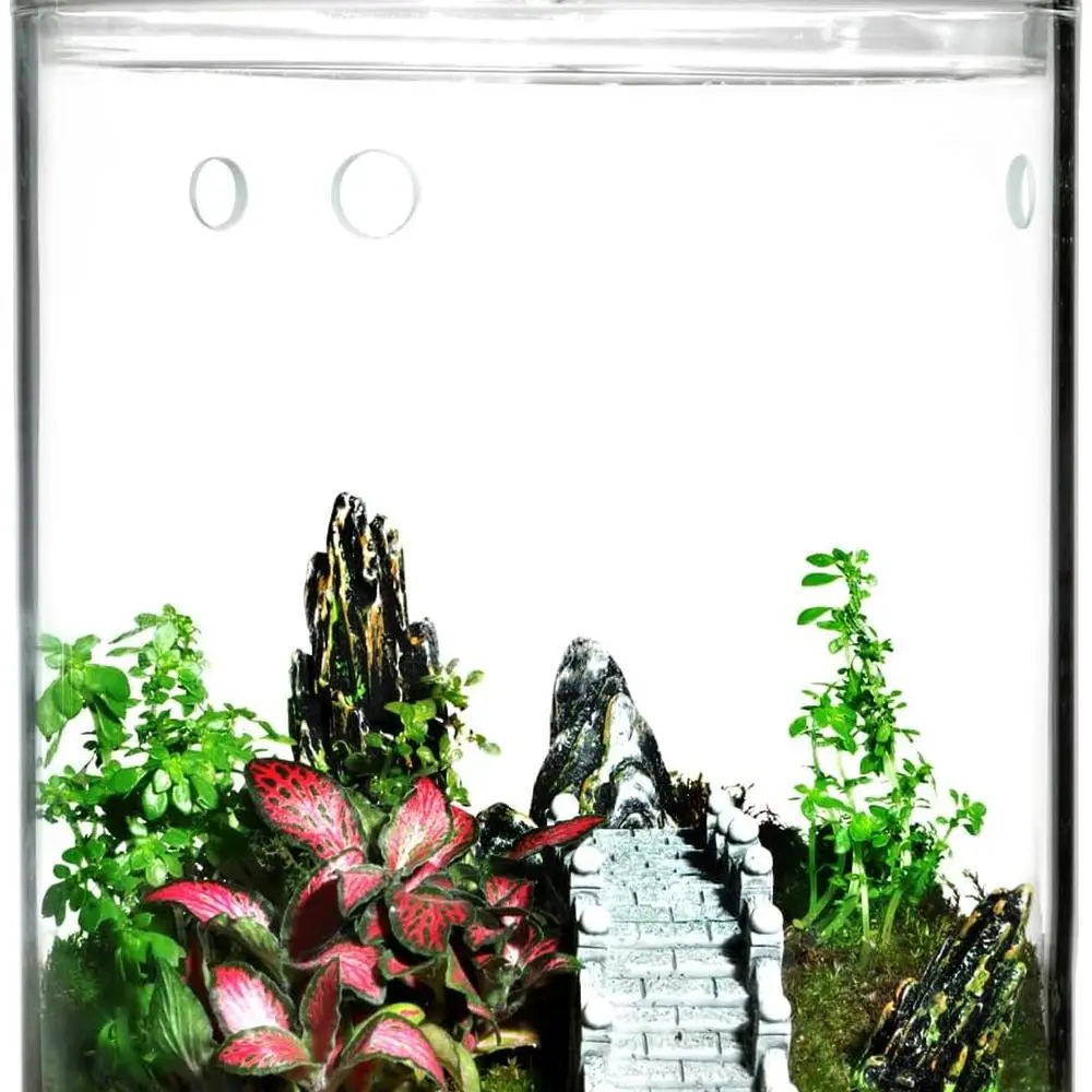 

Маленькая стеклянная террариумная банка с крышкой — террариум с закрытыми растениями размером 4,7 x 7 дюймов для суккулентов, мха, ловушек для мух венера и самоподъемников