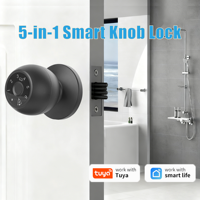 Tuya Smart Door Lock Fingerprint Digital Biometric Lock Smart Home Devices Security Protection Automation Residential