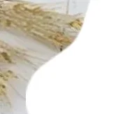 

Exfoliating Body Scrubber - Soft Washcloth For Dead Skin Removal & Dry Brushing | Long Bath Sponge With Strap For Shower & Spa