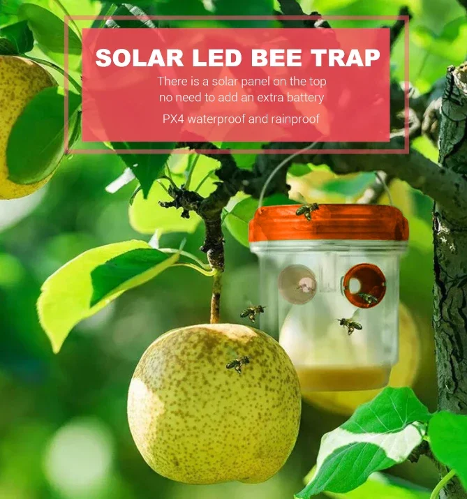 2Pcs Fly Wasp Trap …