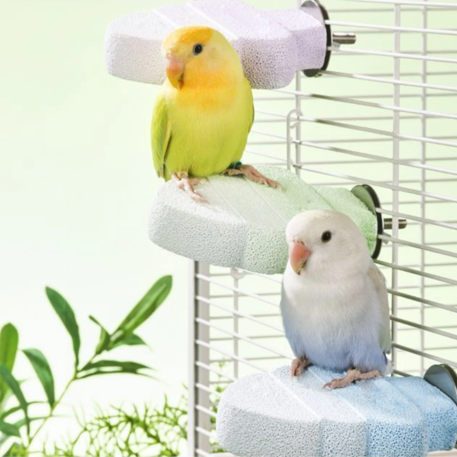 Conifer Tree Shaped Bird Perch Long-Lasting Stepped Contoured Perch Platform Non-Slip Safe for Everyday Cage Setups