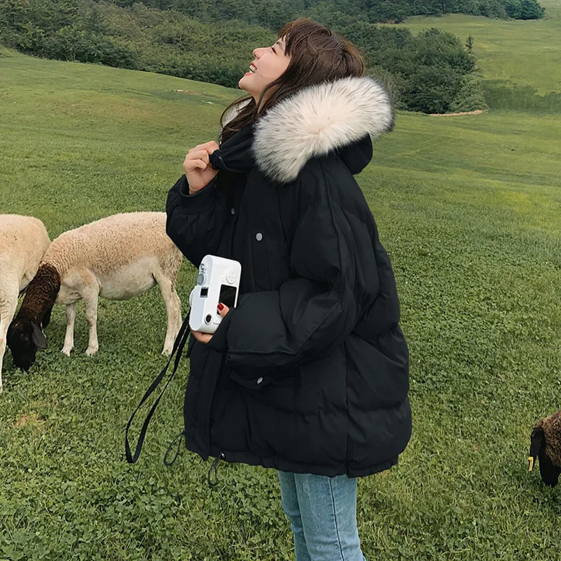 

2025 New Autumn and Winter Loose Down Cotton Jacket Women's Short Short Small Loose Thickened Bread Jacket Padded Jacket