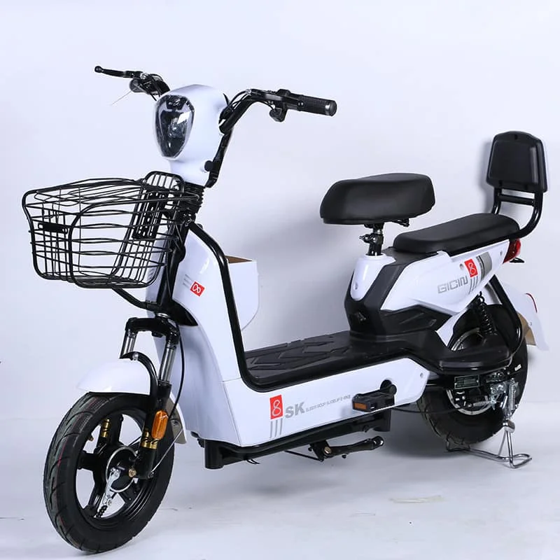 48V 350W Electric Moped Scooter 14 Inch Vacuum Tire 2 Seats Electric Bike Electric Bicycle for Adults