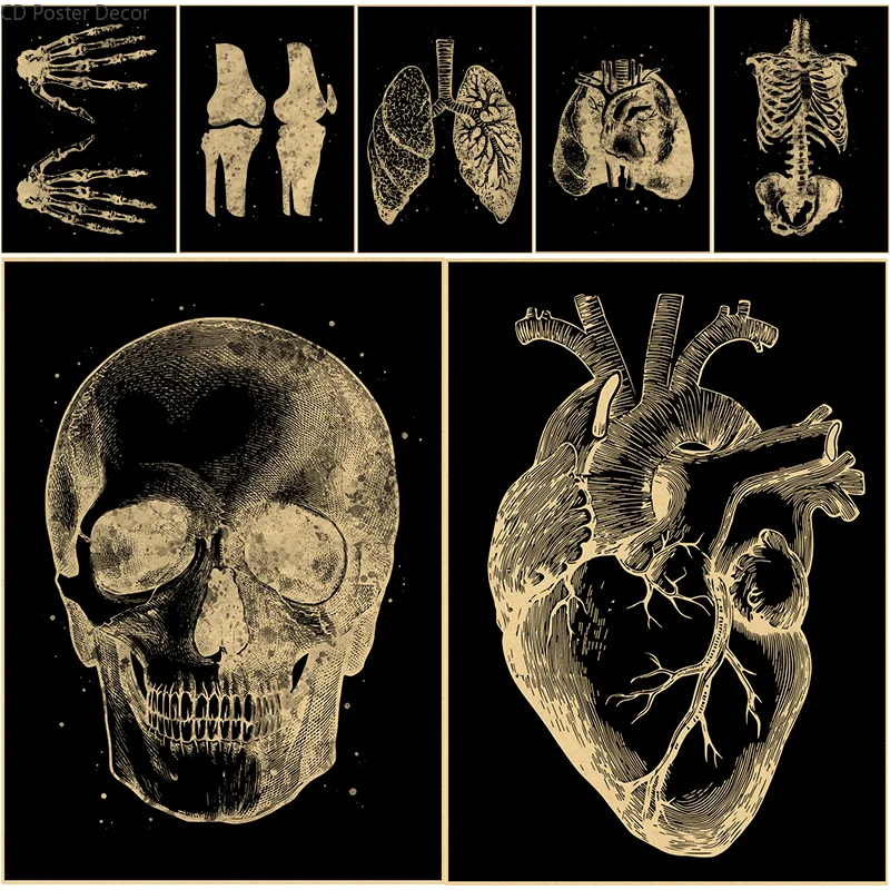 Anatomy Chalkboard Poster Human Skull Heart Lung Skeleton Torso Prints Vintage Surgery Medical Room Home Art Wall Decor Painting