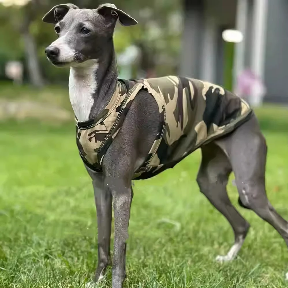 

Spring Summer Greyhound Camouflage Vest 100% Votton High-stretch Coolling Dog Clothes Thin T-shirt for Whipbit Bedlington