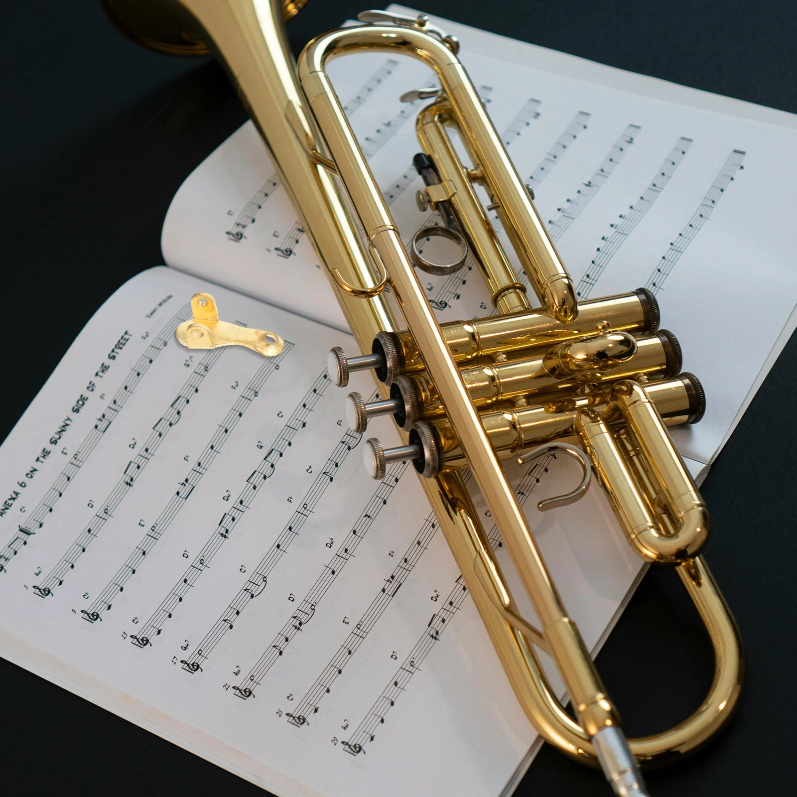 

2pcs Trumpet Water Key Replacement High Purity Copper Valve Caps Universal Fit For Brass Instruments Drainage Tool Trumpet