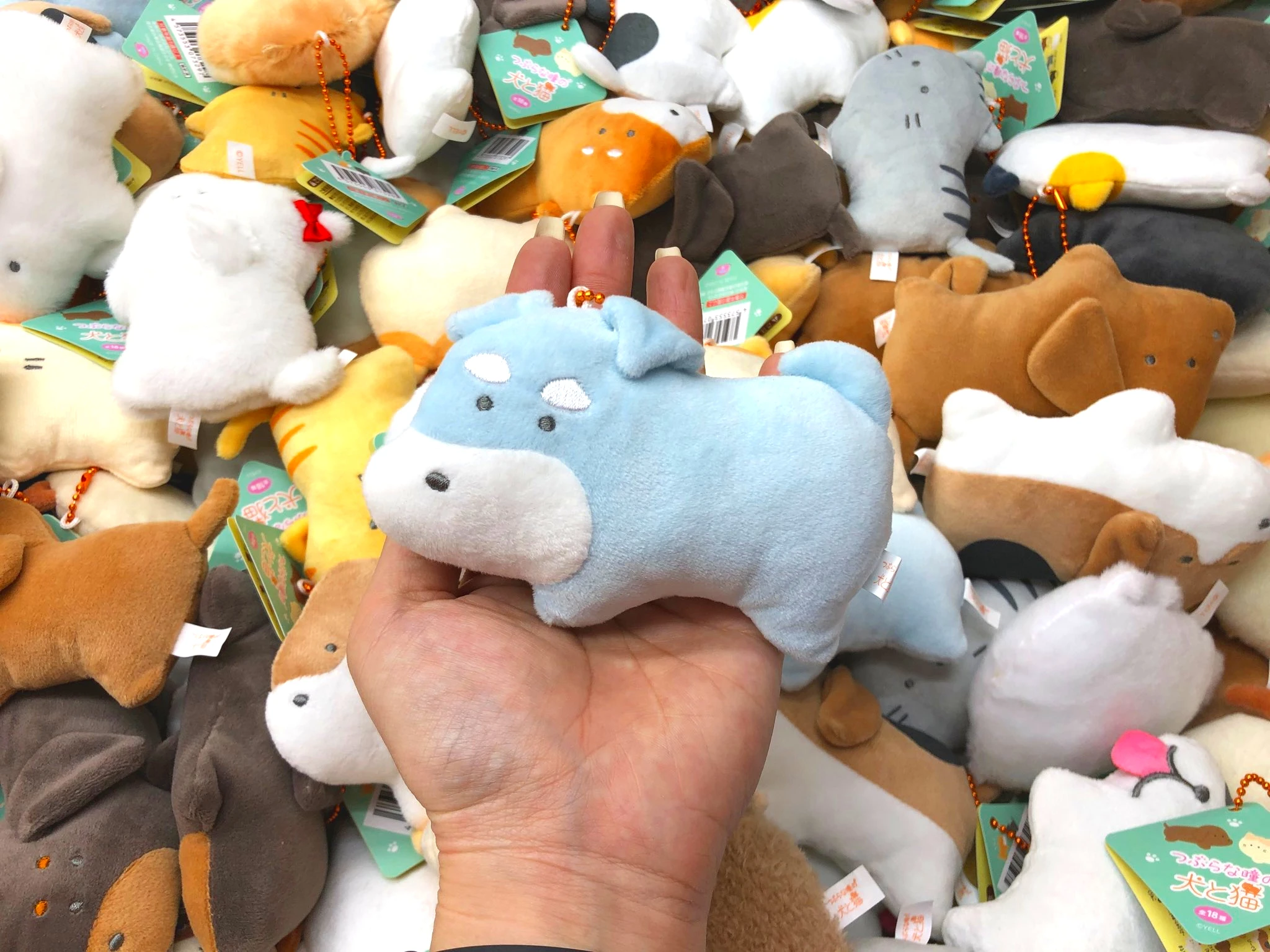 11cm Yell plush toys cute kawaii Round-Eyed Dog Petite Mascot BC Corgi chihuahua Pom Husky Shiba puppys pendant