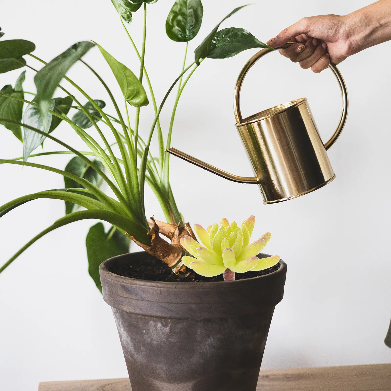 15 Peças de Plantas Artificiai - Bonsai Garden With Sand avaliação e preço
