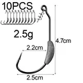 2.5g 10PCS