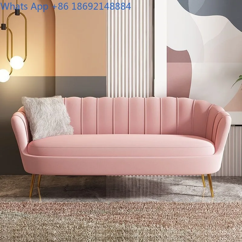Double Seater, Nordic Style Small Apartment  Living Room, Clothing Store, Rental Room Three-Seater Small Sofa
