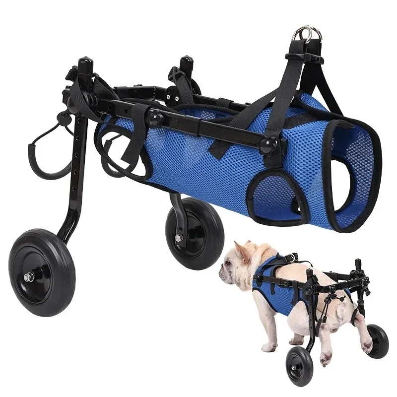 

Fauteuil roulant réglable pour chien, aide la mobilité, jambe postérieure,