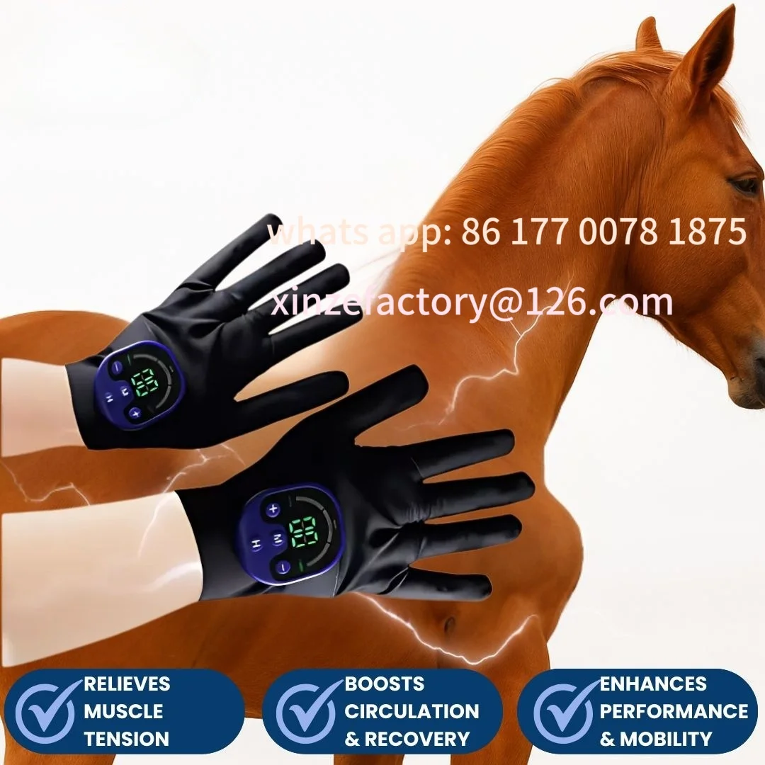 

Customizable Gloves for Horses Electrical Muscle StimulationTension Soreness Equine Massager for Relieving Post-Training Re