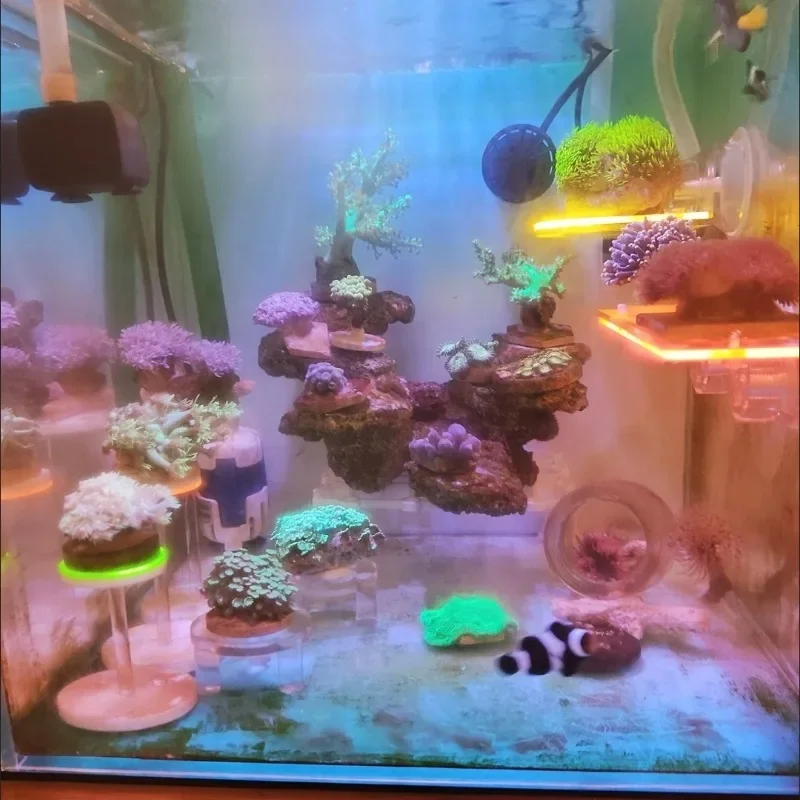 Acrylic Brain Coral Lifting Platform Coral Base Bracket Growing Holder SPS Rack Marine Reef Stand Aquarium Accessories