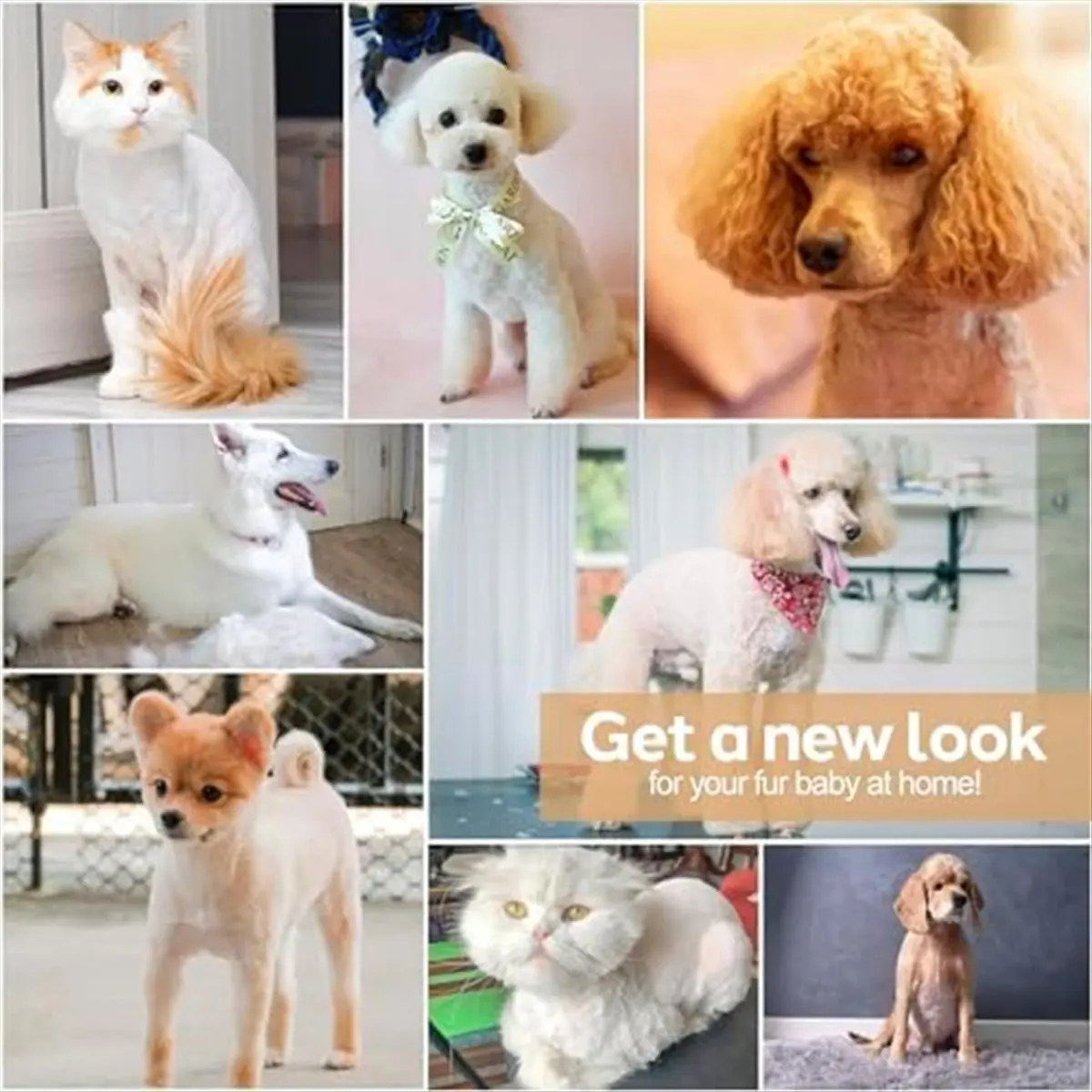 

ABPO Dog Hair Clippers Grooming for Nail Grinder, 4-in-1 Cordless Electric Trimmer Low Noise USB Rechargeable Pet Clippers