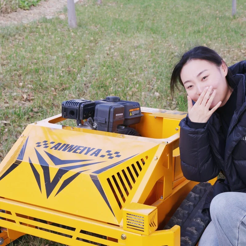 

Автоматическая промышленная газонокосилка-робот для сада и улицы с дистанционным управлением, 550 мм, индивидуальная настройка, хит продаж