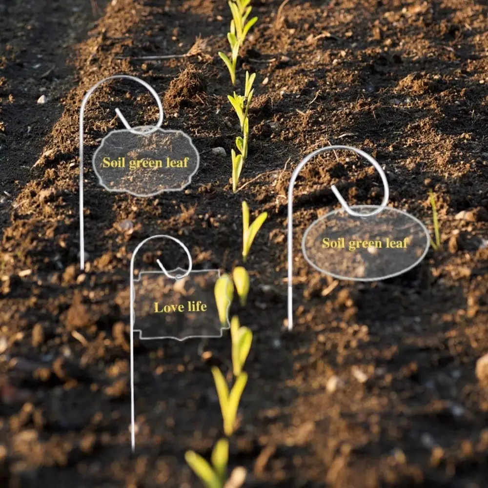 Acrylic Material Plant Labels Heavy Duty Metal Construction Plant Markers Iron Material Decorative Design Garden Stakes