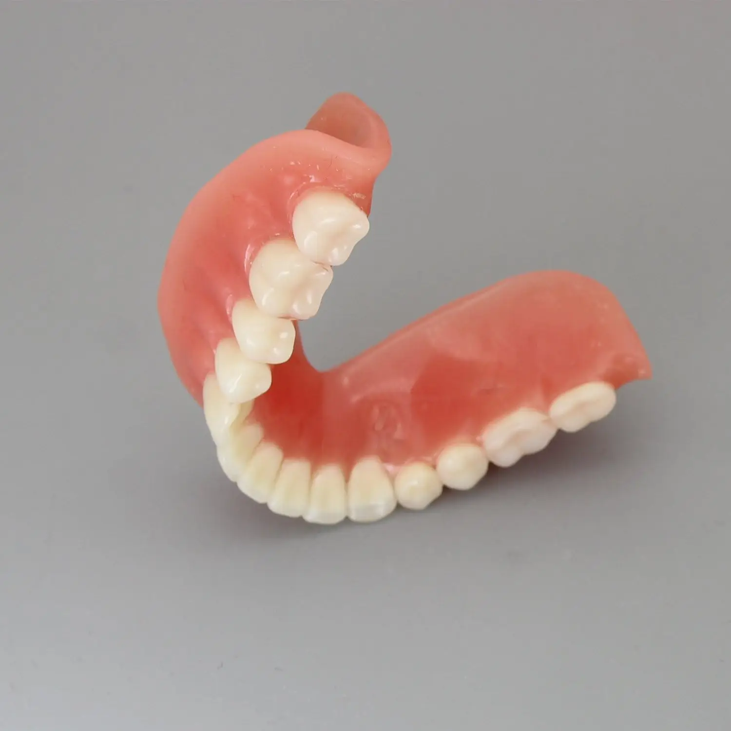 Bild 7: AG Dental-Zahnmodell für den Unterricht, Bildung, Studium, Zahnmedizin, Oberkiefer/Mandibular, Overdenture, Unterkiefer-Zahnmodell