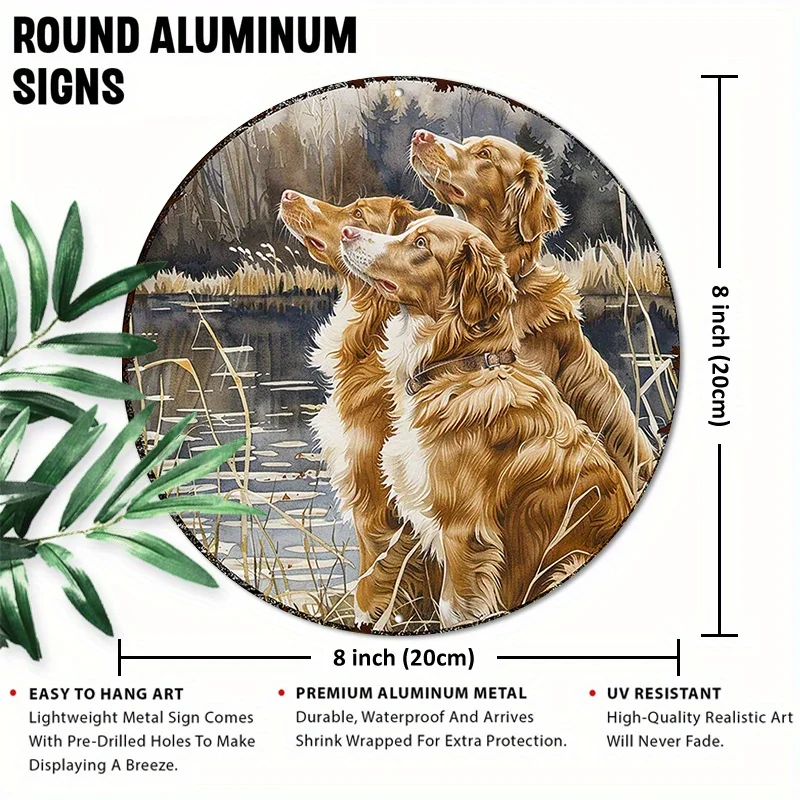 Nova Scotia Duck Tolling Retrievers - 8X8