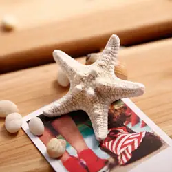 2pcs Womens Starfish Hair Clip Girls Elegant Beauty Natural Sea Star Hairpin Fashion Hot Jewelry