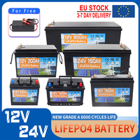 12V 24V 100AH 150AH 200AH 300AH 600AH LiFePO4 Lithium Iron Phosphate Battery Built-in BMS For RV Campers Golf Cart Solar Storage