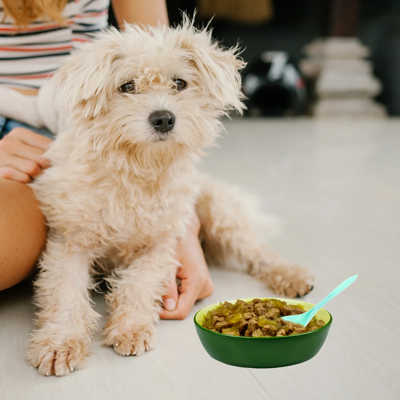 

4Pcs Pet Food Can Spoons Multi-Function Long Handle Feeding Spoons Sturdy Durable Plastic Cat Dog Food Mixing Spoon Household