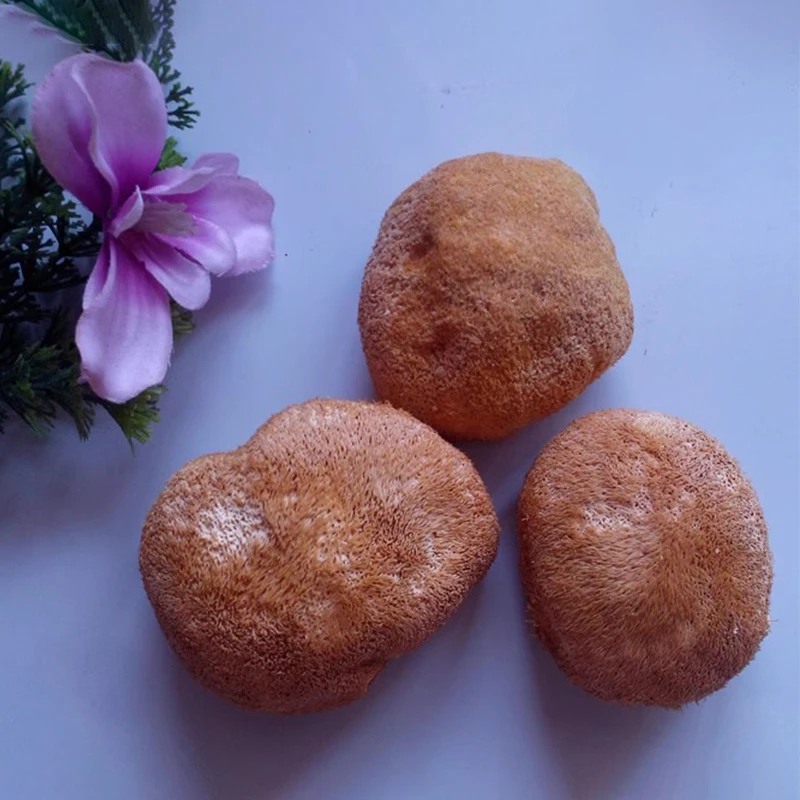 Рисунок 6 - Натуральный гриб с головой обезьяны Changbai Mountain