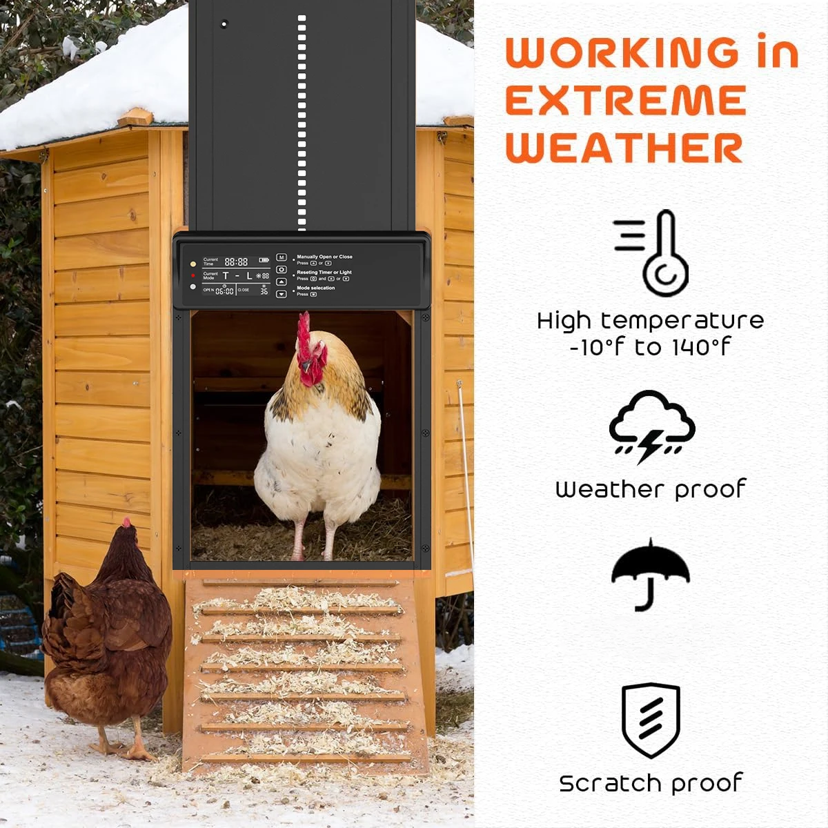 Automatic Chicken Coop Door: Kümes Kapısı Seçimi İçin Detaylı Değerlendirme