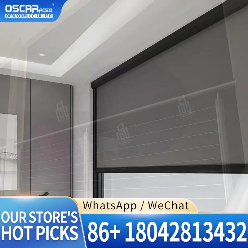 Built in Automatic Electric Cordless Roller Shade Dual Drive Plain Technique Smart Home Decor for Bedroom Office Living Room Rol