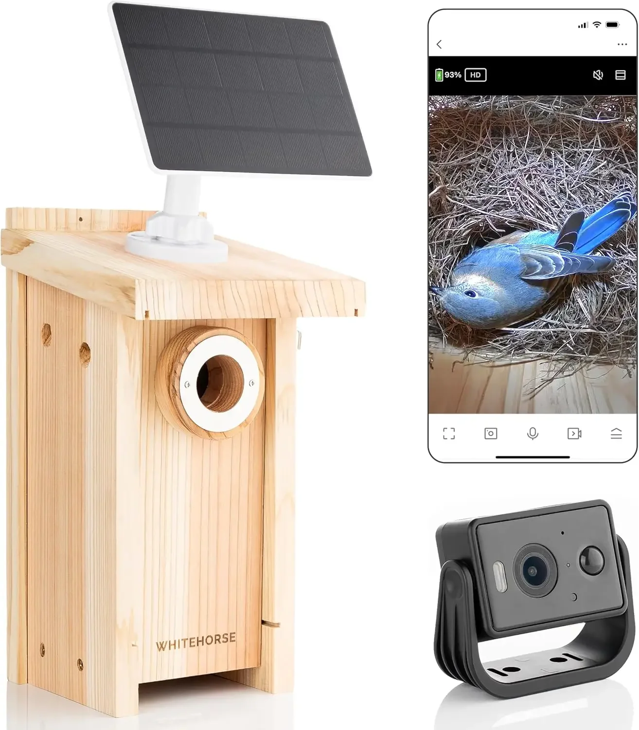 

Bird House with Camera - Wireless & Solar Powered - Take Photos & Videos from Your Phone (Free App) - Get Notified When a Bird i